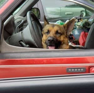 Meet your Posher, Pancho